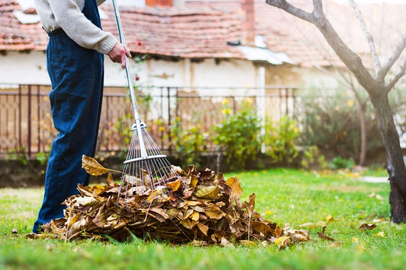 Lawn Raking Techniques
