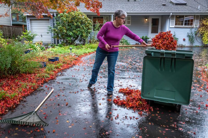 Yard with Cleared Leaves