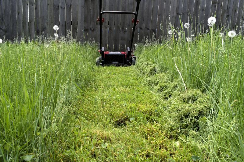 Lawn with Proper Height