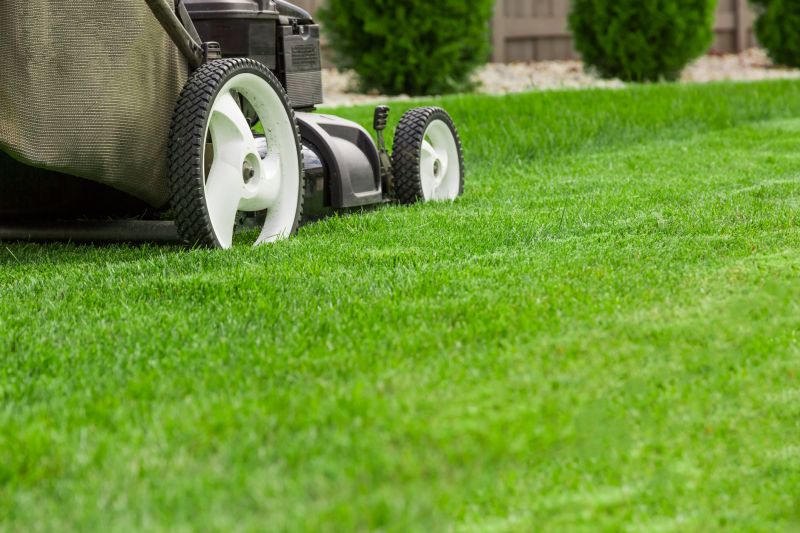 Healthy Lawn After Mowing