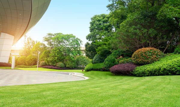 Commercial Lawn Mowing in Cartersville