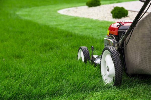 Grass Cutting Service in Cartersville