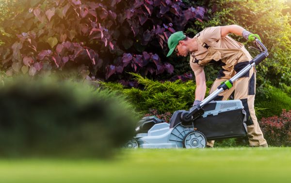 Lawn Care And Maintenance in Cartersville