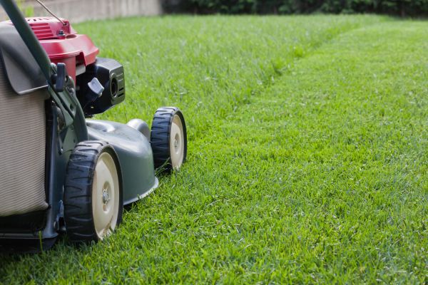 Lawn Care Service in Cartersville