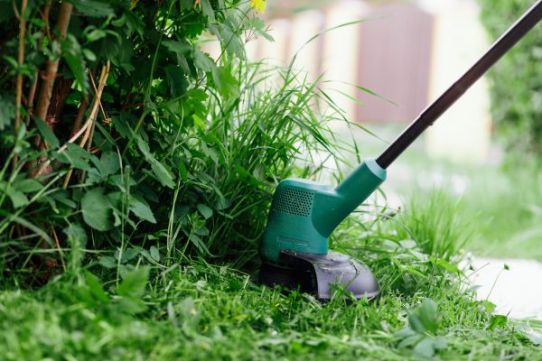 Weed Whacking in Cartersville