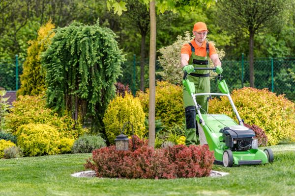 Yard Service in Cartersville