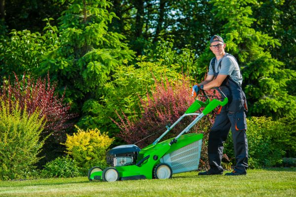 Yard Work Service in Cartersville
