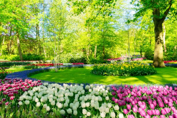 Cost of Spring Lawn Care in Cartersville