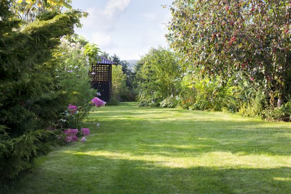 Yard Upkeep Service in Cartersville