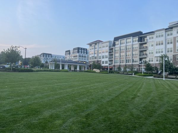 Cost of Urban Lawn Care in Cartersville