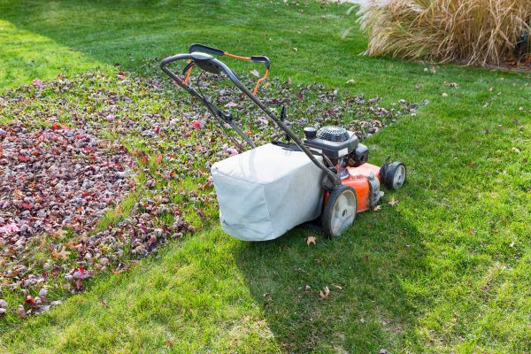 Seasonal Lawn Care in Cartersville