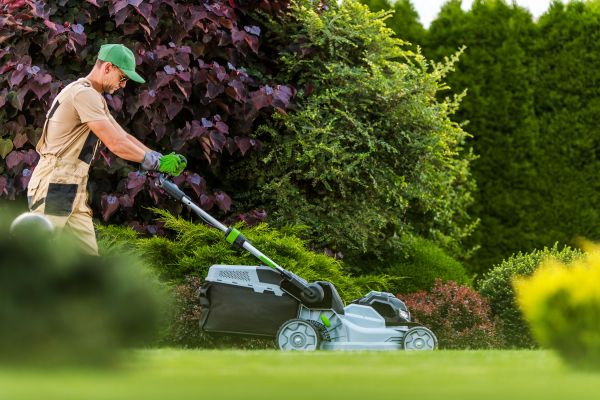 Lawn Management in Cartersville