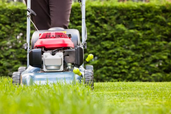 Grass Trimming Service in Cartersville