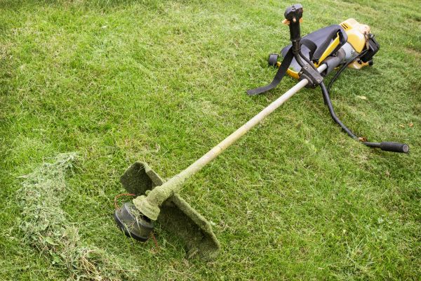Cost of Hillside Weed Whacking in Cartersville