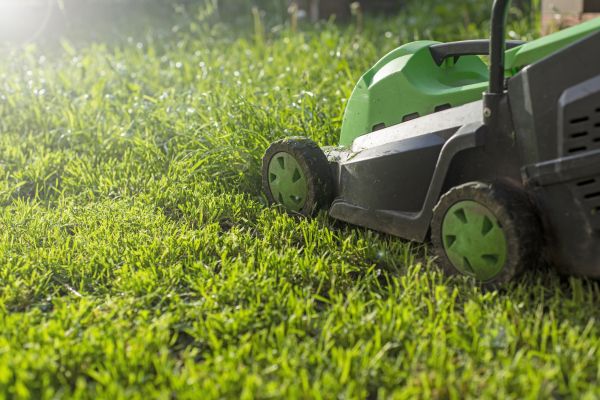 Cost of Lot Mowing in Cartersville