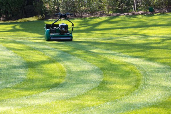 Business Lawn Mowing in Cartersville