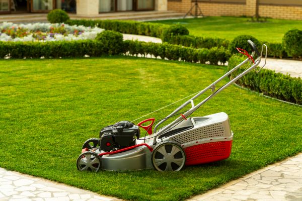 Business Grass Cutting in Cartersville