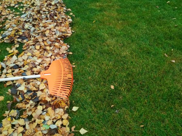 Fall Lawn Care in Cartersville