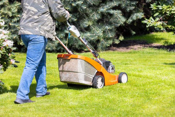 Springtime Lawn Care in Cartersville