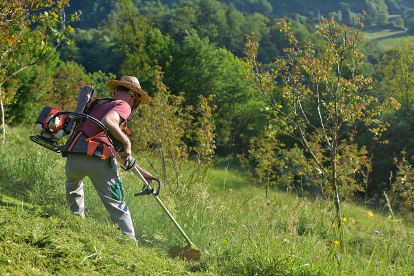 Slope Mowing in Cartersville