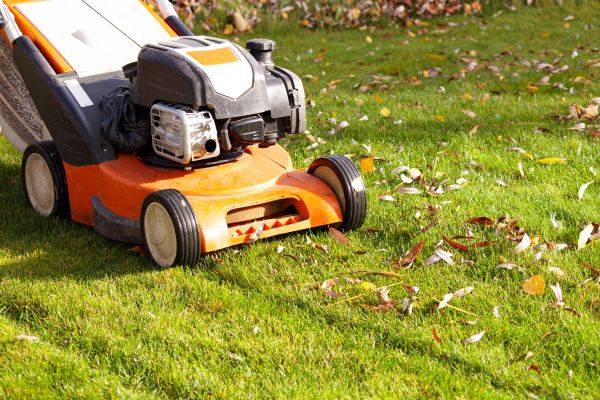 Cost of Fall Mowing in Cartersville