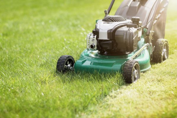 Cost of Spring Grass Trimming in Cartersville