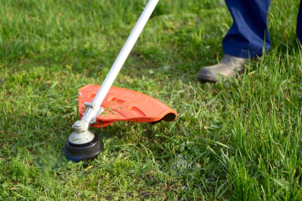 Cost of Lawn Weed Whacking in Cartersville